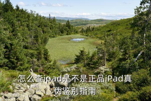 蘋(píng)果平板數(shù)據(jù)線序列號(hào)查詢,蘋(píng)果數(shù)據(jù)線的序列號(hào)怎么查詢正品
