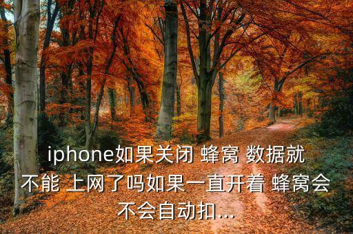 iphone如果關(guān)閉 蜂窩 數(shù)據(jù)就不能 上網(wǎng)了嗎如果一直開著 蜂窩會(huì)不會(huì)自動(dòng)扣...