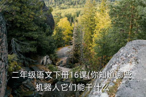 二年級(jí)語文下冊(cè)16課(你知道哪些 機(jī)器人它們能干什么