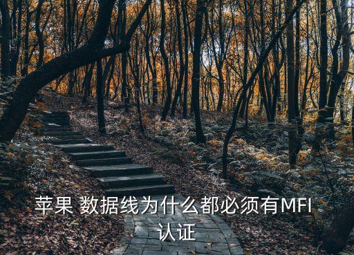 mfi數(shù)據(jù)線認(rèn)證mfi,蘋果mfi認(rèn)證品牌列表