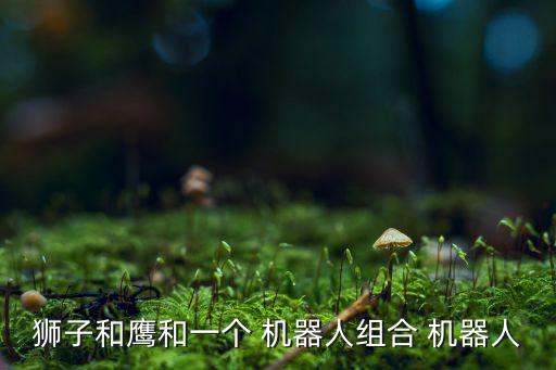 一個(gè)鷹臉的機(jī)器人