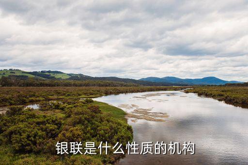  銀聯(lián)是什么性質(zhì)的機(jī)構(gòu)