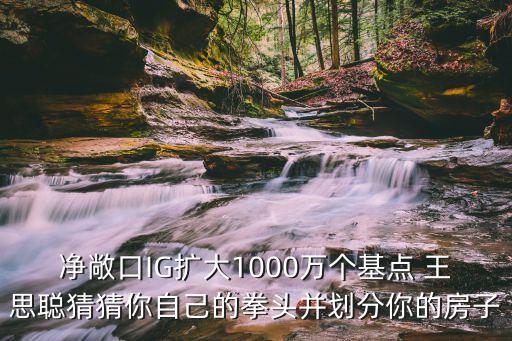 王思聰 lpl首秀數(shù)據(jù)