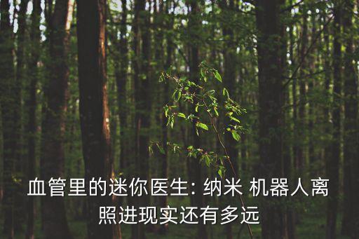 微納米機(jī)器人發(fā)展前景