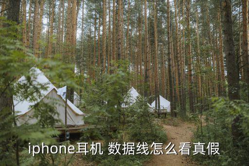 iphone耳機(jī) 數(shù)據(jù)線怎么看真假