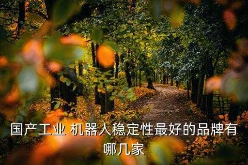 國產(chǎn)工業(yè) 機(jī)器人穩(wěn)定性最好的品牌有哪幾家