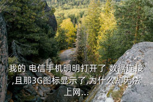 電信移動(dòng)數(shù)據(jù)不能用怎么回事,電信卡顯示無(wú)法訪問(wèn)移動(dòng)網(wǎng)絡(luò)是怎么回事