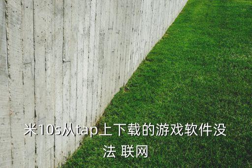 米10s從tap上下載的游戲軟件沒法 聯(lián)網(wǎng)