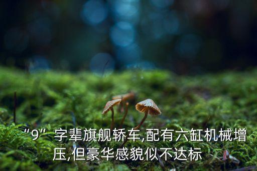 “9”字輩旗艦轎車,配有六缸機(jī)械增壓,但豪華感貌似不達(dá)標(biāo)