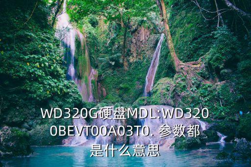 WD320G硬盤MDL:WD3200BEVT00A03T0. 參數都是什么意思