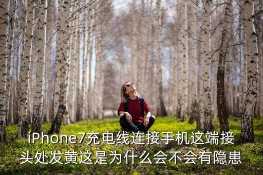 蘋果7數(shù)據(jù)線頭,蘋果數(shù)據(jù)線頭子發(fā)黑是怎么回事?