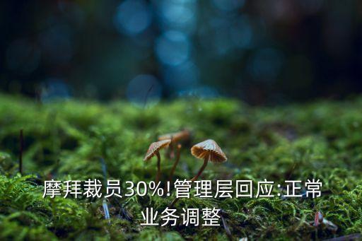  摩拜裁員30%!管理層回應(yīng):正常業(yè)務(wù)調(diào)整