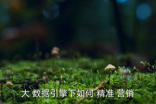 大數(shù)據(jù)應(yīng)用精準(zhǔn)營銷的市場空間,工行數(shù)據(jù)應(yīng)用精準(zhǔn)營銷工作