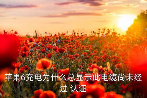 ipad數(shù)據(jù)線未認(rèn)證,Ipad數(shù)據(jù)線有保修嗎