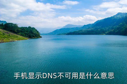 手機數(shù)據(jù)dns設(shè)置不了網(wǎng)絡(luò)設(shè)置在哪