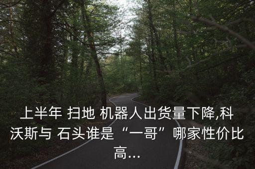 掃地機(jī)器人有石頭品牌嗎