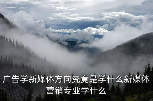 廣告學(xué)新媒體方向究竟是學(xué)什么新媒體營銷專業(yè)學(xué)什么
