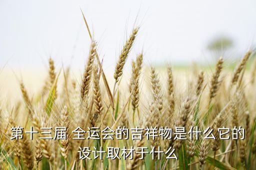 第十三屆 全運(yùn)會(huì)的吉祥物是什么它的設(shè)計(jì)取材于什么