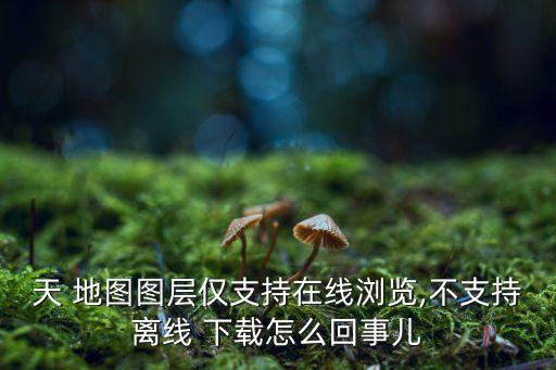 天 地圖圖層僅支持在線瀏覽,不支持離線 下載怎么回事兒
