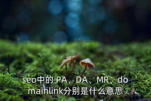 seo中的 PA、DA、MR、domainlink分別是什么意思