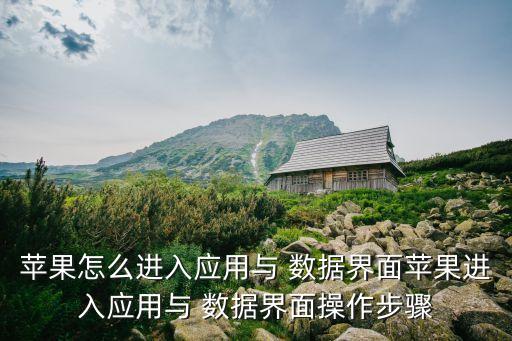 iphone怎么開數(shù)據(jù)應(yīng)用程序