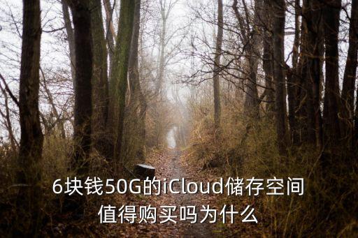 蘋果的數(shù)據(jù)管理是云上貴