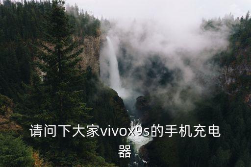 請問下大家vivox9s的手機充電器