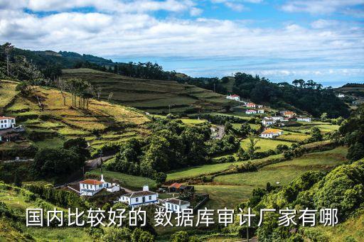 實時數(shù)據(jù)庫廠商有那些,國外實時數(shù)據(jù)庫3大廠商