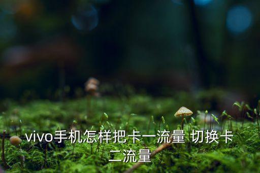 vivo手機(jī)怎樣把卡一流量 切換卡二流量