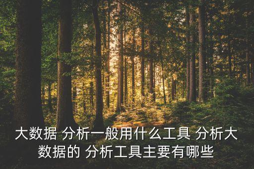大數(shù)據(jù) 分析一般用什么工具 分析大數(shù)據(jù)的 分析工具主要有哪些