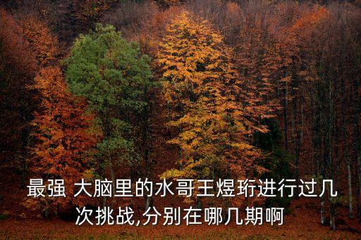  最強(qiáng) 大腦里的水哥王煜珩進(jìn)行過幾次挑戰(zhàn),分別在哪幾期啊