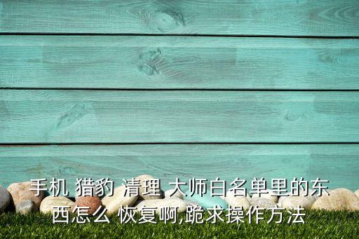 手機 獵豹 清理 大師白名單里的東西怎么 恢復啊,跪求操作方法