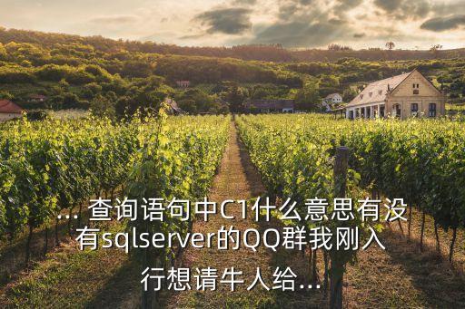 ... 查詢語句中C1什么意思有沒有sqlserver的QQ群我剛?cè)胄邢胝?qǐng)牛人給...