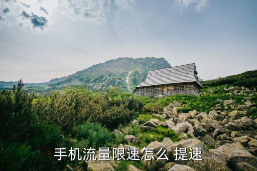 手機流量限速怎么 提速