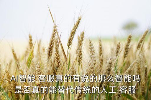 AI智能 客服真的有說的那么智能嗎是否真的能替代傳統(tǒng)的人工 客服
