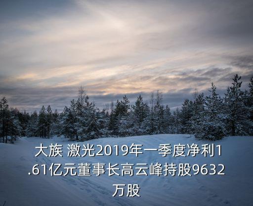  大族 激光2019年一季度凈利1.61億元董事長(zhǎng)高云峰持股9632萬(wàn)股