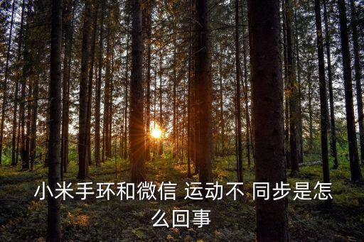 小米手環(huán)微2信運(yùn)動(dòng)同步數(shù)據(jù),微信運(yùn)動(dòng)小米手環(huán)怎么顯示