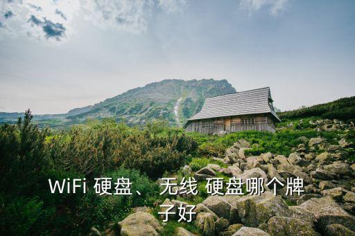 WiFi 硬盤、 無線 硬盤哪個牌子好