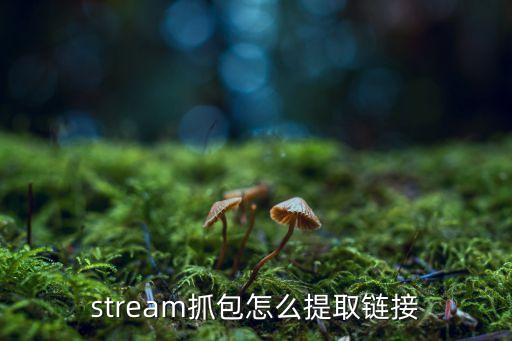 stream抓包怎么提取鏈接