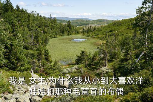 女生喜歡的機(jī)器人