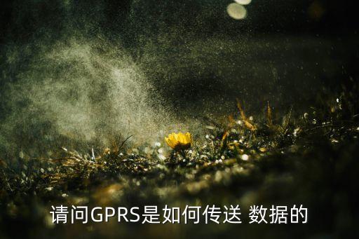請問GPRS是如何傳送 數(shù)據(jù)的