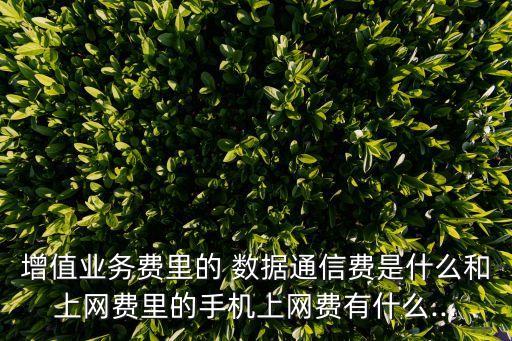 聯(lián)通數(shù)據(jù)通迅費(fèi)是什么