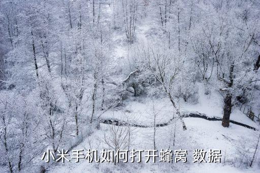  小米手機(jī)如何打開(kāi)蜂窩 數(shù)據(jù)