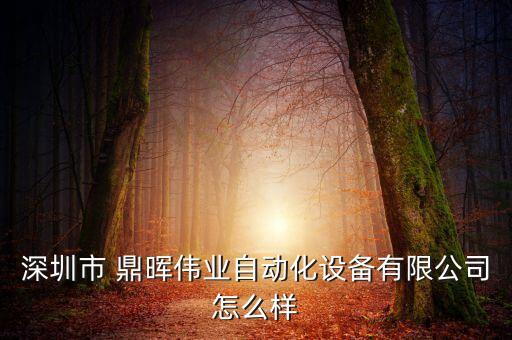 深圳市 鼎暉偉業(yè)自動(dòng)化設(shè)備有限公司怎么樣