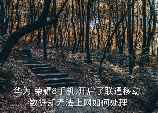 華為 榮耀8手機(jī),開啟了聯(lián)通移動(dòng) 數(shù)據(jù)卻無法上網(wǎng)如何處理