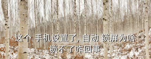 這個(gè) 手機(jī)設(shè)置了, 自動(dòng) 鎖屏為啥鎖不了咋回事