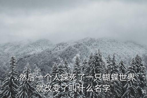 ...然后一個(gè)人踩死了一只蝴蝶世界就改變了叫什么名字