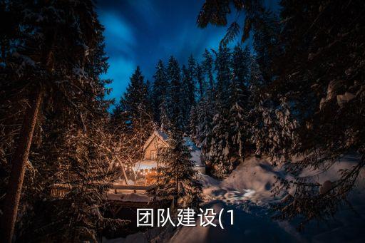 專業(yè)數(shù)據(jù)團(tuán)隊(duì)建設(shè),專業(yè)團(tuán)隊(duì)建設(shè)實(shí)施方案