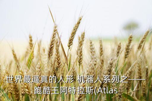 最世上最好機(jī)器人,世上第一個(gè)機(jī)器人