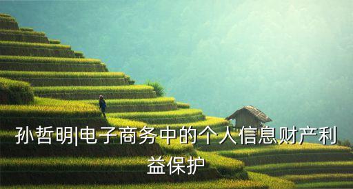 孫哲明|電子商務(wù)中的個(gè)人信息財(cái)產(chǎn)利益保護(hù)
